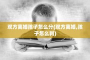 双方离婚孩子怎么分(双方离婚,孩子怎么判)