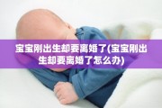 宝宝刚出生却要离婚了(宝宝刚出生却要离婚了怎么办)