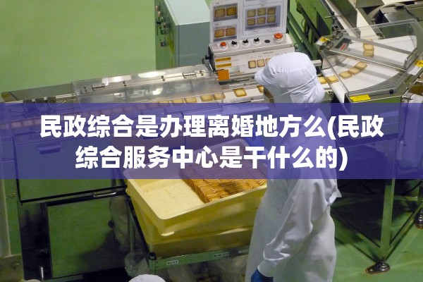 民政综合是办理离婚地方么(民政综合服务中心是干什么的)