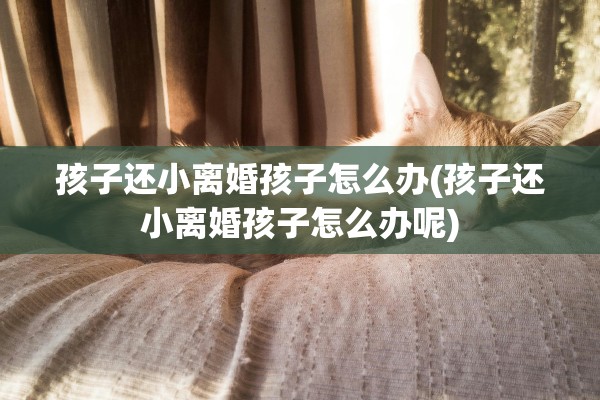 孩子还小离婚孩子怎么办(孩子还小离婚孩子怎么办呢)