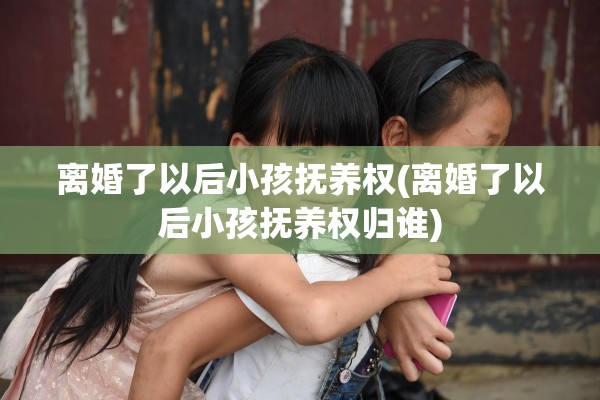 离婚了以后小孩抚养权(离婚了以后小孩抚养权归谁)