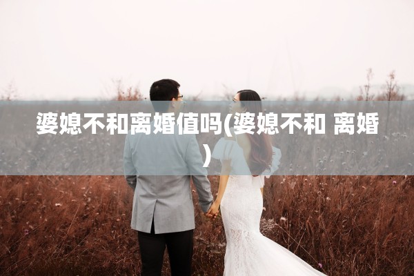 婆媳不和离婚值吗(婆媳不和 离婚)