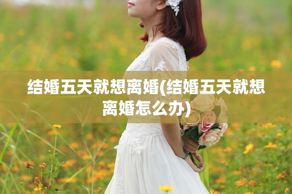 结婚五天就想离婚(结婚五天就想离婚怎么办)