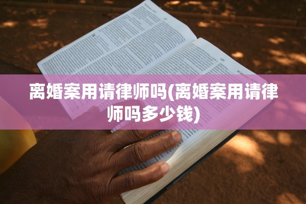 离婚案用请律师吗(离婚案用请律师吗多少钱)