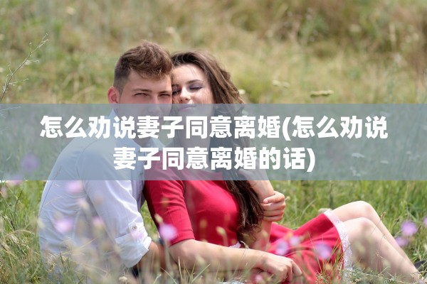 怎么劝说妻子同意离婚(怎么劝说妻子同意离婚的话)
