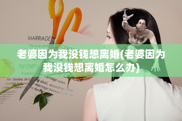 老婆因为我没钱想离婚(老婆因为我没钱想离婚怎么办)