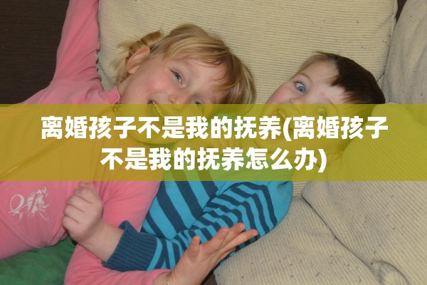 离婚孩子不是我的抚养(离婚孩子不是我的抚养怎么办)