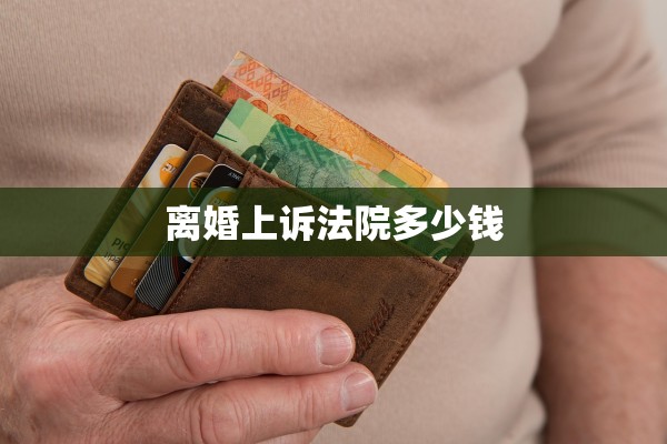 离婚上诉法院多少钱
