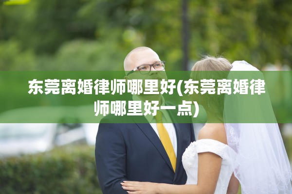东莞离婚律师哪里好(东莞离婚律师哪里好一点)
