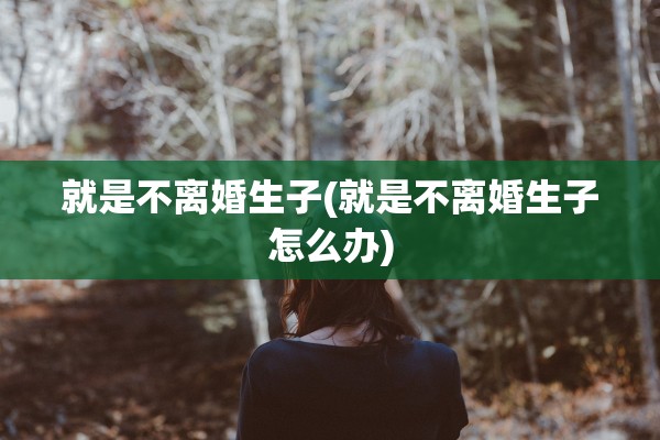 就是不离婚生子(就是不离婚生子怎么办)