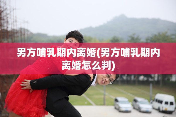 男方哺乳期内离婚(男方哺乳期内离婚怎么判)