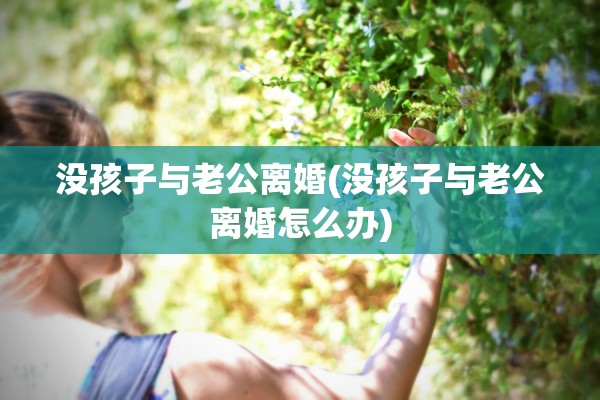没孩子与老公离婚(没孩子与老公离婚怎么办)