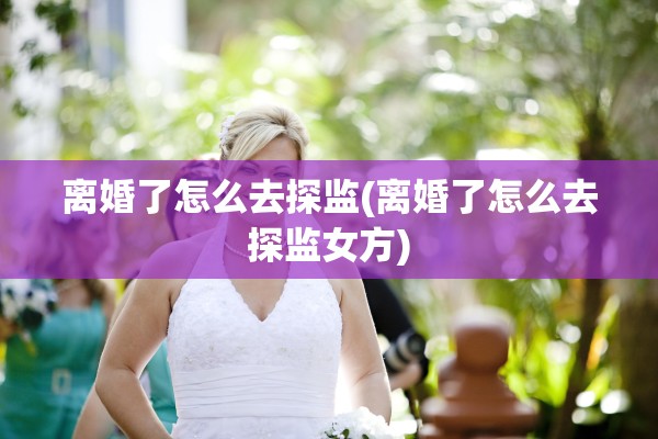 离婚了怎么去探监(离婚了怎么去探监女方)