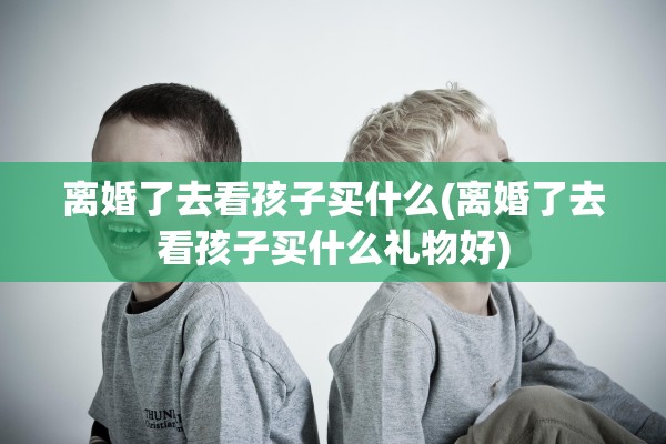 离婚了去看孩子买什么(离婚了去看孩子买什么礼物好)