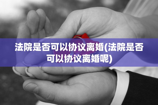 法院是否可以协议离婚(法院是否可以协议离婚呢)