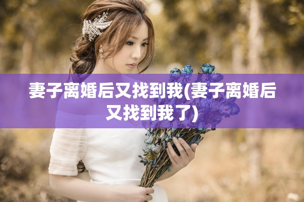 妻子离婚后又找到我(妻子离婚后又找到我了)
