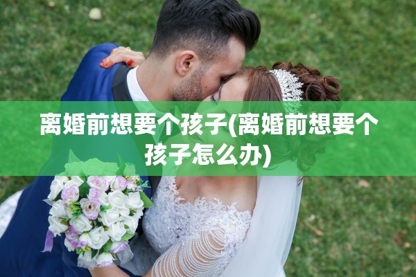 离婚前想要个孩子(离婚前想要个孩子怎么办)