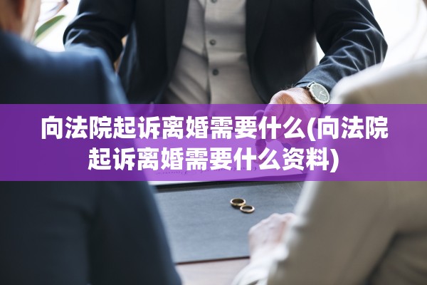 向法院起诉离婚需要什么(向法院起诉离婚需要什么资料)