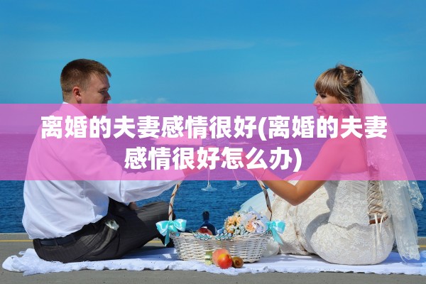 离婚的夫妻感情很好(离婚的夫妻感情很好怎么办)