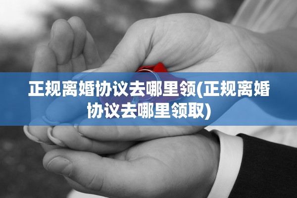 正规离婚协议去哪里领(正规离婚协议去哪里领取)