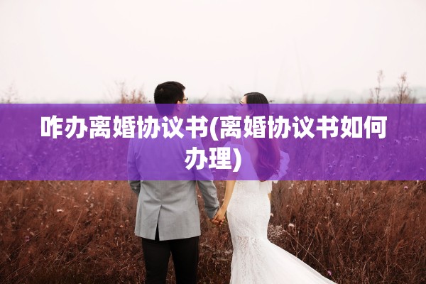 咋办离婚协议书(离婚协议书如何办理)
