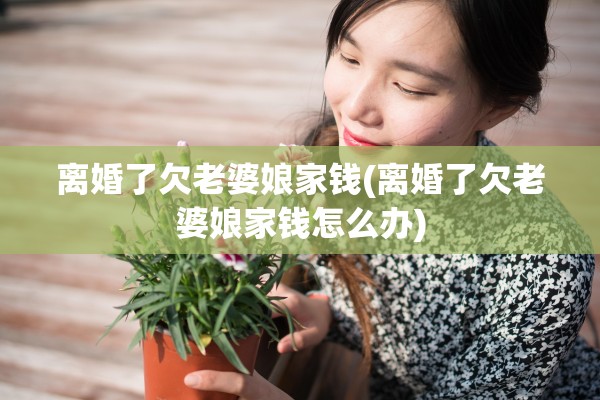 离婚了欠老婆娘家钱(离婚了欠老婆娘家钱怎么办)