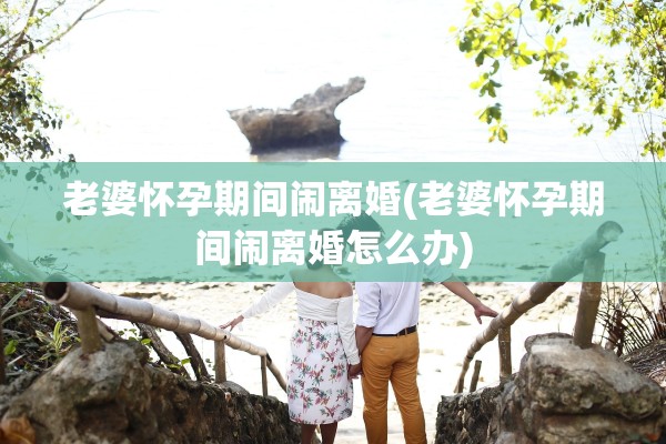 老婆怀孕期间闹离婚(老婆怀孕期间闹离婚怎么办)