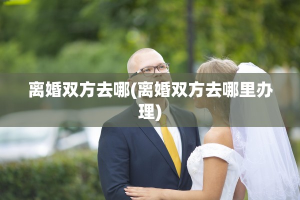 离婚双方去哪(离婚双方去哪里办理)