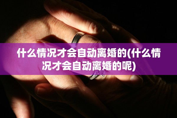 什么情况才会自动离婚的(什么情况才会自动离婚的呢)