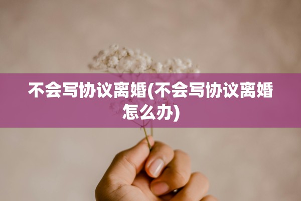 不会写协议离婚(不会写协议离婚怎么办)