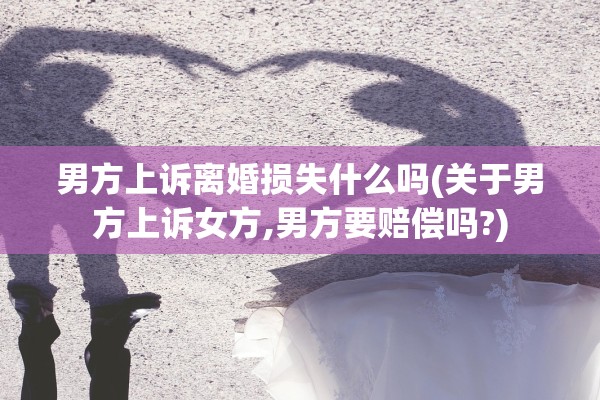 男方上诉离婚损失什么吗(关于男方上诉女方,男方要赔偿吗?)