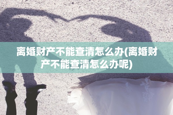 离婚财产不能查清怎么办(离婚财产不能查清怎么办呢)