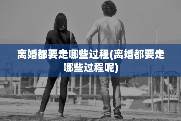 离婚都要走哪些过程(离婚都要走哪些过程呢)