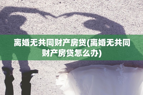 离婚无共同财产房贷(离婚无共同财产房贷怎么办)