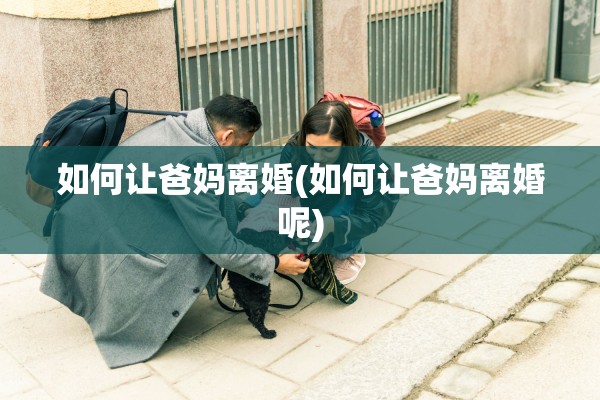 如何让爸妈离婚(如何让爸妈离婚呢)