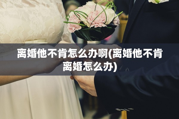 离婚他不肯怎么办啊(离婚他不肯离婚怎么办)