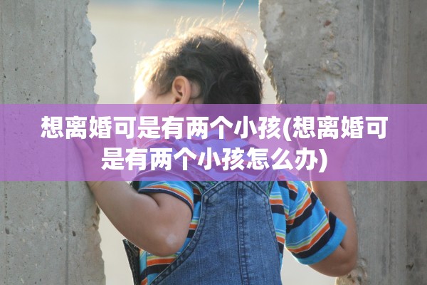 想离婚可是有两个小孩(想离婚可是有两个小孩怎么办)