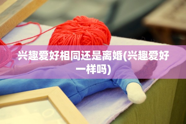 兴趣爱好相同还是离婚(兴趣爱好一样吗)