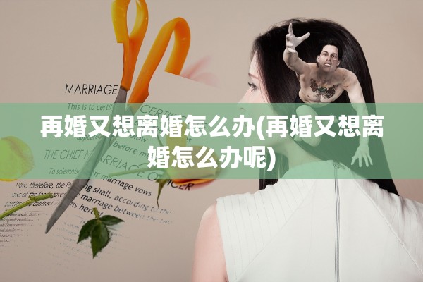 再婚又想离婚怎么办(再婚又想离婚怎么办呢)