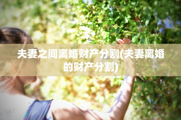 夫妻之间离婚财产分割(夫妻离婚的财产分割)