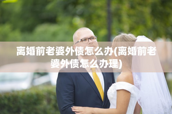 离婚前老婆外债怎么办(离婚前老婆外债怎么办理)