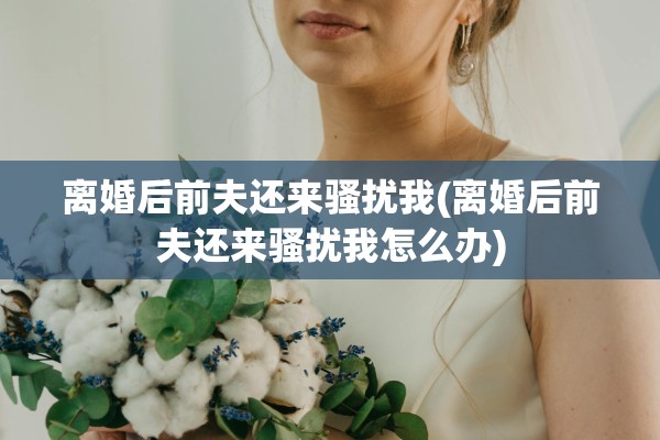 离婚后前夫还来骚扰我(离婚后前夫还来骚扰我怎么办)