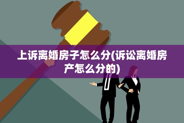 上诉离婚房子怎么分(诉讼离婚房产怎么分的)