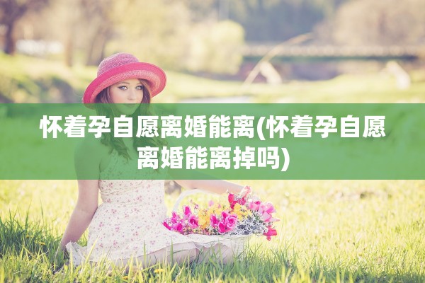 怀着孕自愿离婚能离(怀着孕自愿离婚能离掉吗)