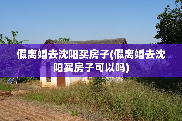 假离婚去沈阳买房子(假离婚去沈阳买房子可以吗) 假离婚去沈阳买房子(假离婚去沈阳买房子可以吗)