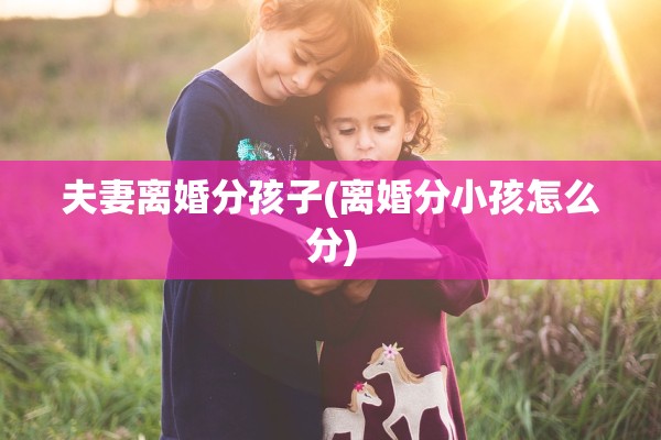 夫妻离婚分孩子(离婚分小孩怎么分)