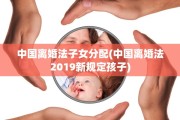 中国离婚法子女分配(中国离婚法2019新规定孩子)