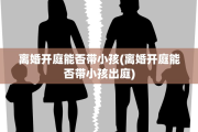 离婚开庭能否带小孩(离婚开庭能否带小孩出庭)