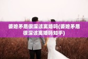婆媳矛盾很深该离婚吗(婆媳矛盾很深该离婚吗知乎)