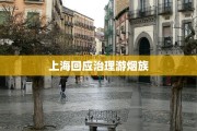 上海回应治理游烟族
